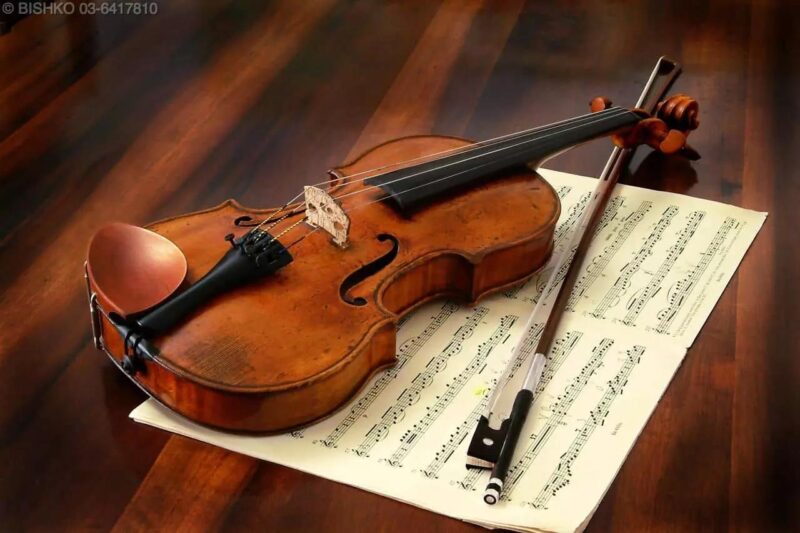 acquisto violino