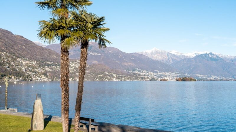 eventi festa piodina